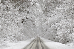 O inverno voltou hoje___ 