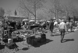 Feira dos Peludos 