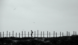 In the dunes... 