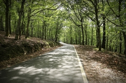 Serra da Lousã 