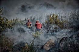 Bombeiros em ação 