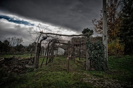 Abobeleira - Paisagem de inverno 