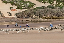 Pescadores de areia 