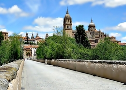 VISTA PARCIAL DE SALAMANCA 