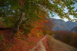 Autumn trail 