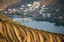 Tonalidades do Douro 