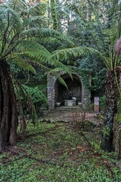 Recanto na mata do Buçaco. 