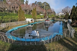 O Cisne do Curia Palace Hotel 