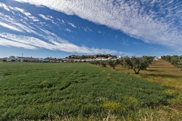 O castelo e a cidade a seus pés_ 