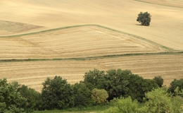 Olhar provençal 