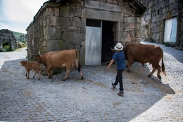 Na aldeia 