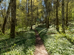 Suécia em primavera  