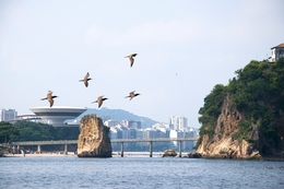 Niterói 