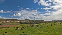 As cabrinhas da Serra 