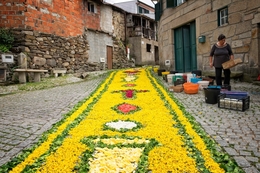 Passadeiras de flores 