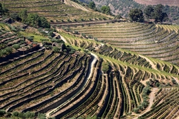 Valença do Douro 