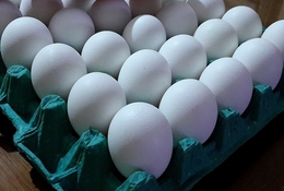 SELECTED  EGGS 