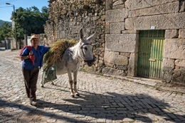 Na aldeia 