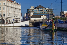 Passeando na ria de Aveiro 