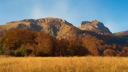 Autumn landscape 