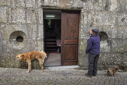 Ruralidades barrosãs 