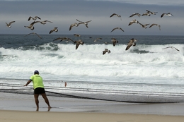 Praia de Mira  