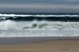 Praia de Mira  