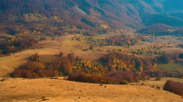 Autumn landscape 