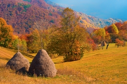 Autumn landscape 