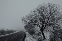 Winter road 