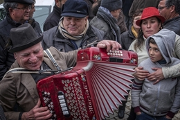 O homem da concertina 