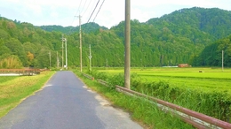 road in Shigaraki 