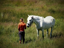A Menina e o Cavalo. 
