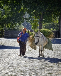 Na aldeia 