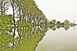  Reflexos na Pateira 