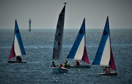 Barcos à Vela. 