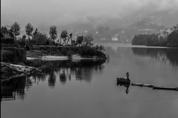 Rio Caldo_Gerês 