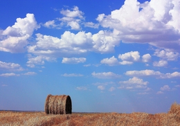 Paisagem Alentejana. 