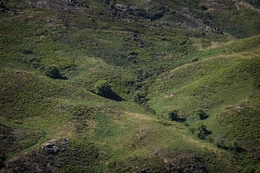 Paisagem barrosã 