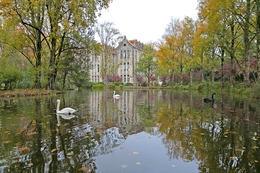 LAGO DOS CISNES 