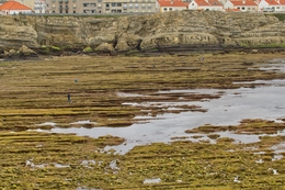 Papoa, Peniche 