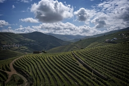 Douro 