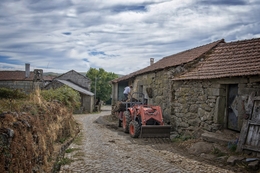 Zebral - Montalegre 