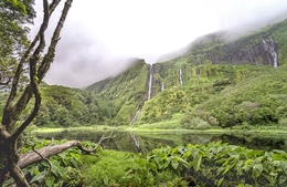 Paraíso Verde 