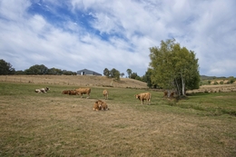 Sarraquinhos - Montalegre 