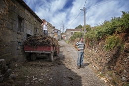 Zebral - Montalegre 