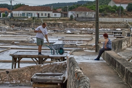 Salinas de Rio Maior 