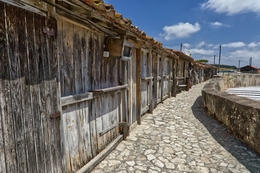 Salinas de Rio Maior 