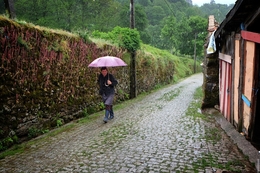 Passear à chuva 