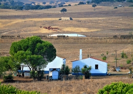 Alentejo. 